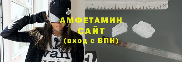 гидра Богородицк