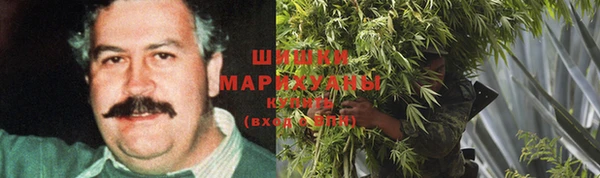 ешки Богданович